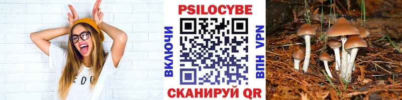 Псилоцибиновые грибы GOLDEN TEACHER  Шебекино 