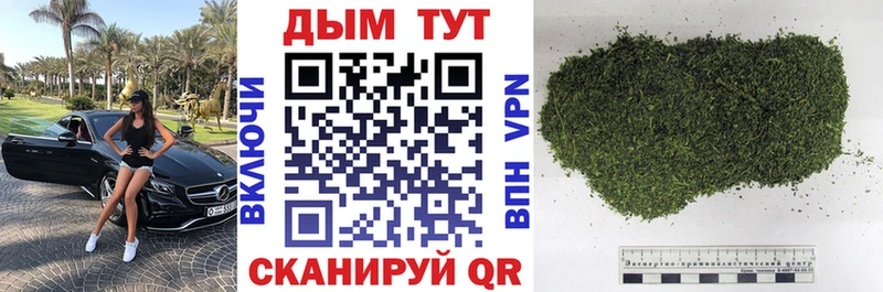 МАРИХУАНА сатива  Шебекино 